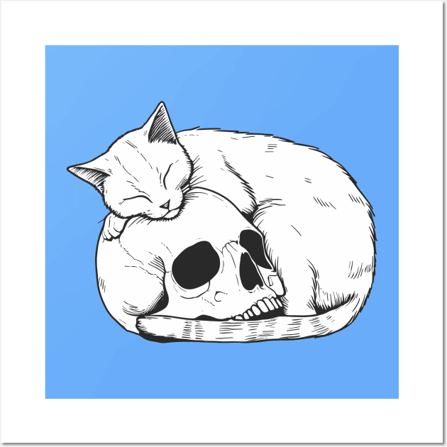 Cat sleeping on skull Wall Art by ArtisticBox